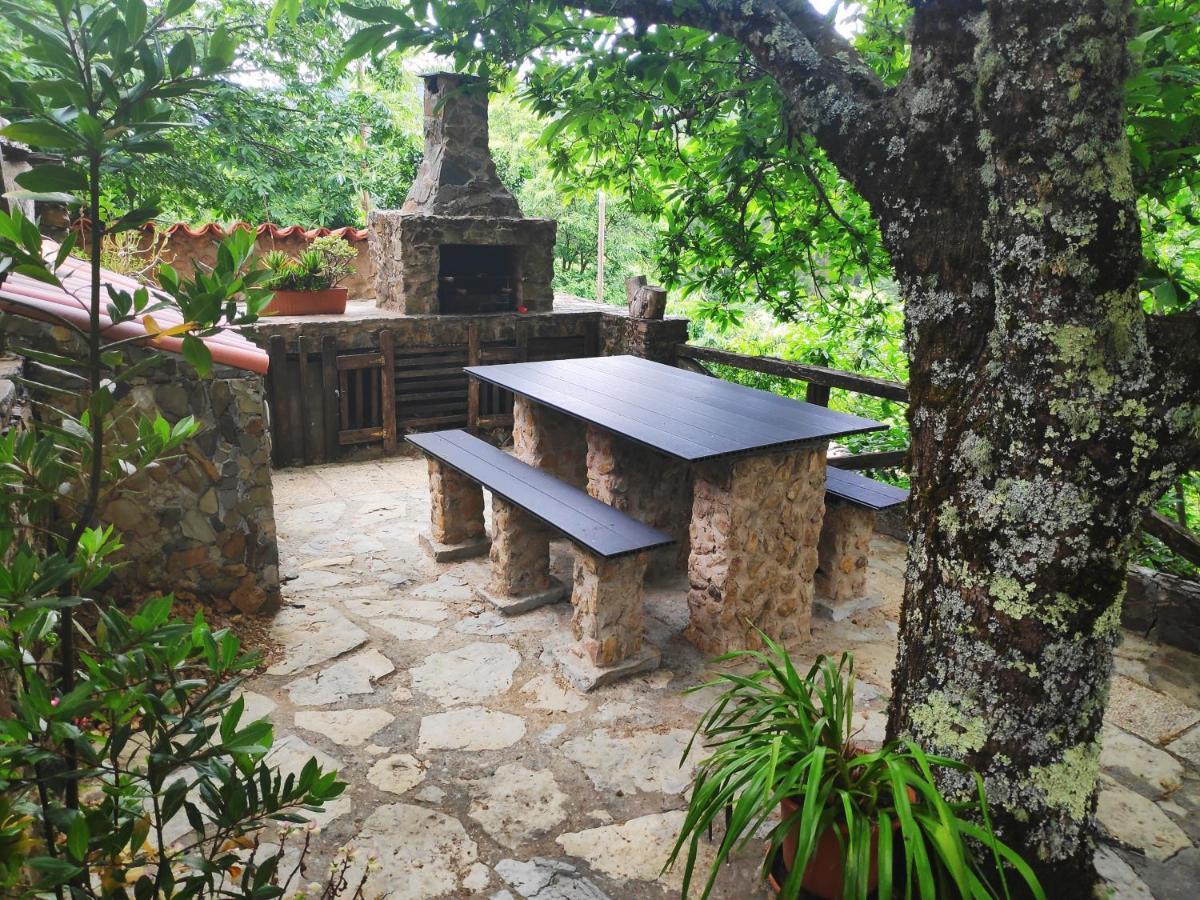 Casa Em Xisto Na Serra Da Lousa, Gondramaz Extérieur photo